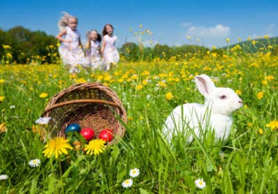 Ostern im Garten: Tipps für ein gelungenes Fest