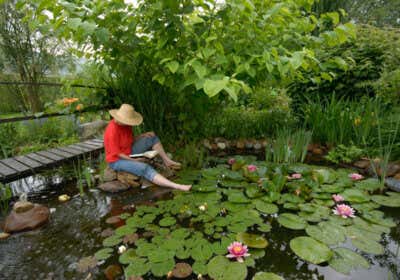 Wasseroase im Garten: Alles rund um die Teich-Gestaltung