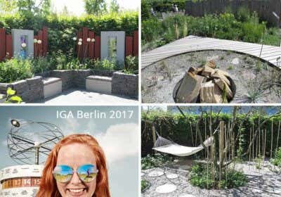 Klein, aber oho: die Trends der IGA Berlin 2017 für Ihren Garten