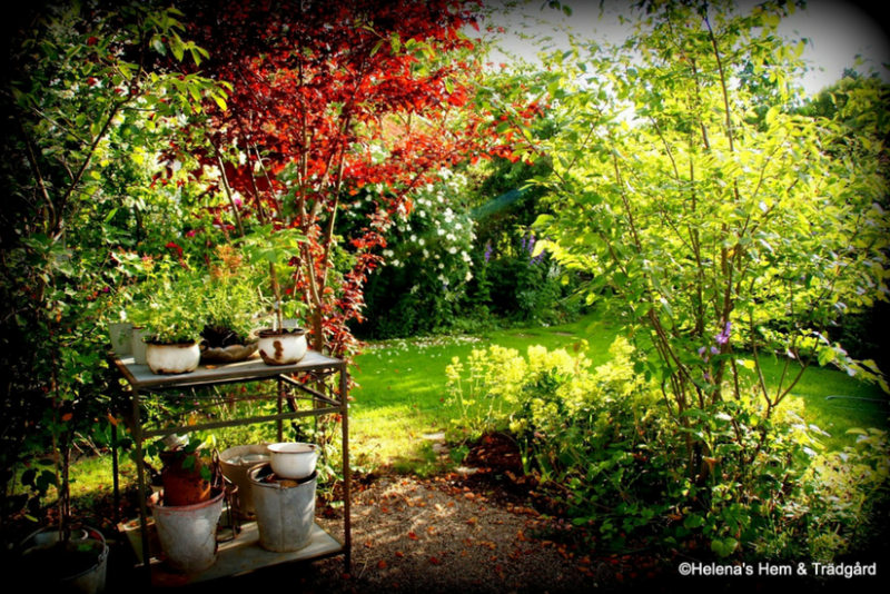 skandinavischer Garten GartenHaus Magazin