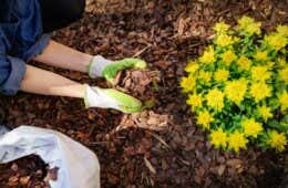 Feuerstelle Im Garten Tipps Zum Feuerstelle Selberbauen