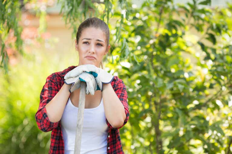 Kleintierhaltung im Garten Was ist erlaubt, was ist nicht